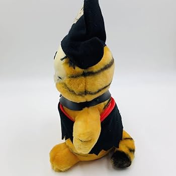 Amazon.co.jp: 超レア！ガーフィールド Garfield 海賊